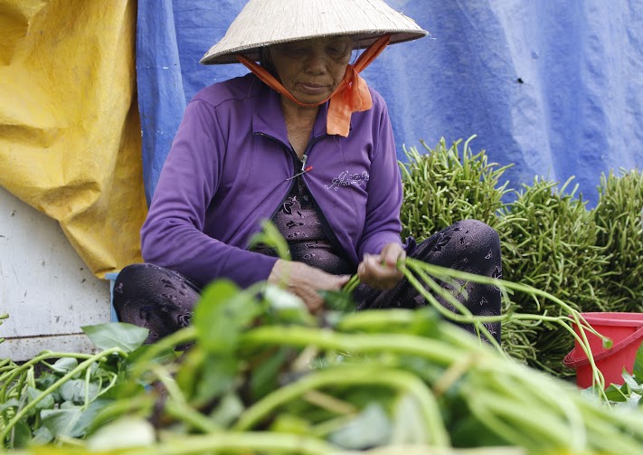 Tay[-]chai[-]sần,[-]đau[-]nhức[-]vì[-]nghề[-]lặt[-]rau[-]muống[-]thuê